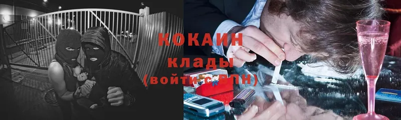 мега как войти  Горбатов  COCAIN Fish Scale 